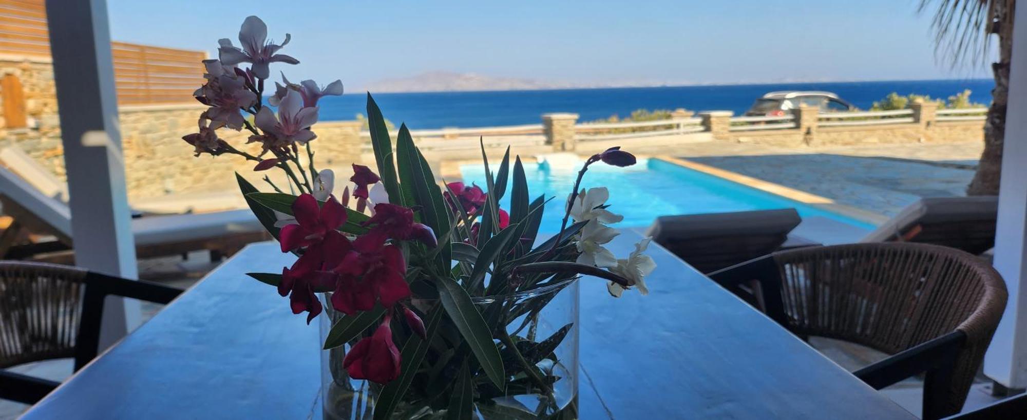 Santamare Villa Тинос Экстерьер фото